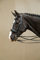 Ogłowie munsztukowe z nachrapnikiem szwedzkim Dy'on Working Collection WOECAR