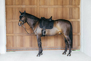 Czaprak ujeżdżeniowy Kentucky Horsewear Wave