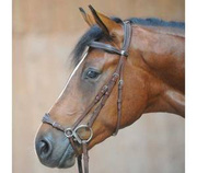 Ogłowie Kavalkade Levana