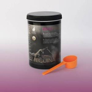 Suplement wspomagający wyciszenie Equina Repax 600g