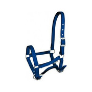 Kantar źrebięcy York Tobi