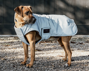 Derka dla psa Kentucky Dogwear Reflective&Water Repellent 150G