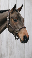Kantar anatomiczny Kentucky Horsewear Anatomic Leather Halter