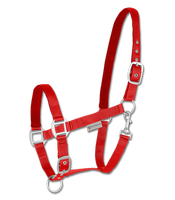 Kantar Waldhausen Satin