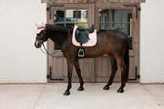 Czaprak  ujeżdżeniowy Kentucky Horsewear Sparkling 