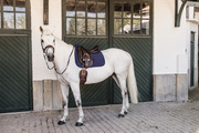 Czaprak ujeżdżeniowy  Kentucky Horsewear Fishbone