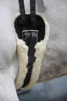 Popręg ujeżdżeniowy z futrem syntetycznym Kentucky Horsewear Sheepskin Short Girth
