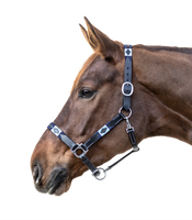 Kantar skórzany Waldhausen Polo