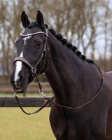 Ogłowie bezwędzidłowe QHP Sunna