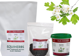 Głóg EQUIHERBS 
