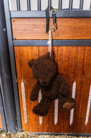 Zabawka dla konia do boksu Kentucky Horsewear Bear