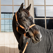 Kantar dla konia Kentucky Horsewear Plaited Nylon