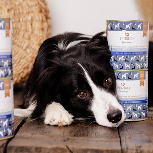 Karma mokra Perro Gourmet - Koza z batatami
