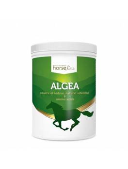 Algi norweskie HorseLine