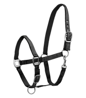 Kantar Waldhausen Satin