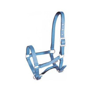 Kantar źrebięcy York Tobi