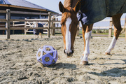 Piłka na siano dla konia Kentucky Horsewear Relax Horse Play & Hay Ball