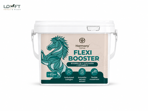Suplement z kolagenem, boswellią i witaminą C wspierający aparat ruchu koni Harmony Horse Flexi Booster