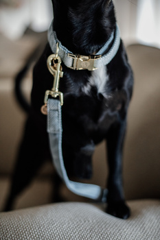 Smycz dla psa Kentucky Dogwear Wool - 120 cm