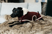 Derka dla psa Kentucky Dogwear Heavy Fleece