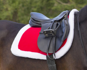 Czaprak świąteczny QHP Christmas