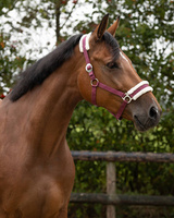 Kantar z futerkiem QHP Cali