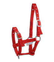 Kantar dla źrebaka Waldhausen Triple