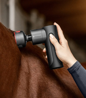 Masażer Waldhausen Health & Care Pro