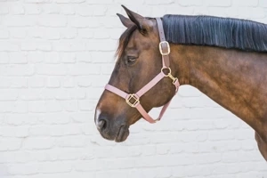 Kantar bezpieczny Kentucky Horsewear Breakaway