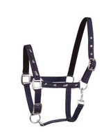 Kantar API Active Horses