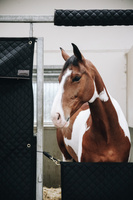 Bramka na boks Kentucky Horsewear Stable Guard