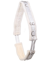 Pas do lonżowania QHP Color