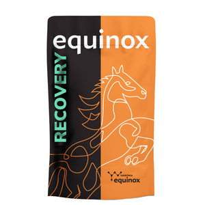 Suplement wspomagający regenerację Equinox Recovery