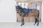 Czaprak ujeżdżeniowy Kentucky Horsewear Metal Chain
