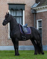 Czaprak ujeżdżeniowy QHP Q Friesian