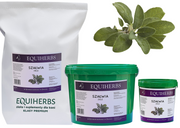 Szałwia EQUIHERBS 