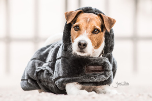 Derka dla psa Kentucky Dogwear Fake Fur
