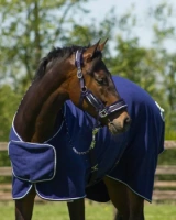 Kantar z uwiązem QHP Dolci