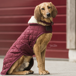 Derka dla psa Kentucky Dogwear Original 