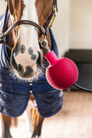 Kula ochronna do uwiązu Kentucky Horsewear Pro