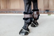 Ochraniacze tylne z futrem Kentucky Horsewear Young Horse TPU