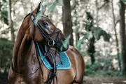 Czaprak wszechstronny Kentucky Horsewear Velvet