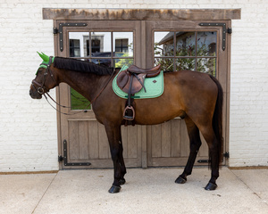 Czaprak wszechstronny Kentucky Horsewear Velvet Printing