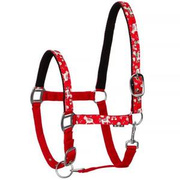 Kantar START Unicorn