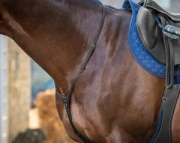 Wytok skórzany Dy'on New English Collection NE07F