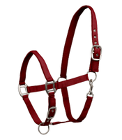 Kantar Waldhausen Satin