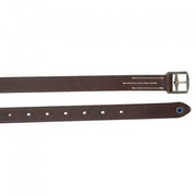 Puśliska wszechstronne Stübben