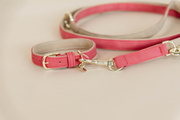 Obroża dla psa Kentucky Dogwear Soft Vegan Leather