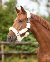 Kantar z futrem QHP Alaska