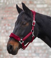 Kantar Waldhausen Premium Soft